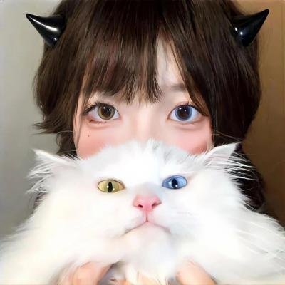 双面男模之桃花期